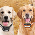 Dog Training Collar with Remote Control