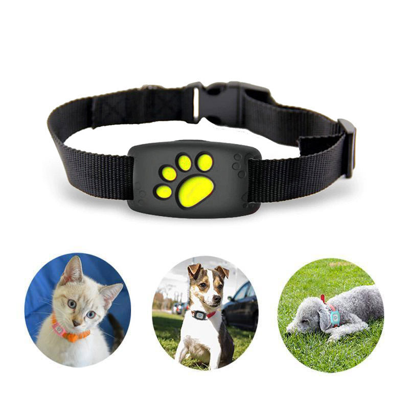 Cat GPS Tracker with Adjustable Collar