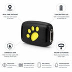 Cat GPS Tracker with Real-Time Tracking